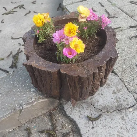 Attila's Vendégház *