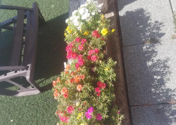 게스트하우스 Attila's