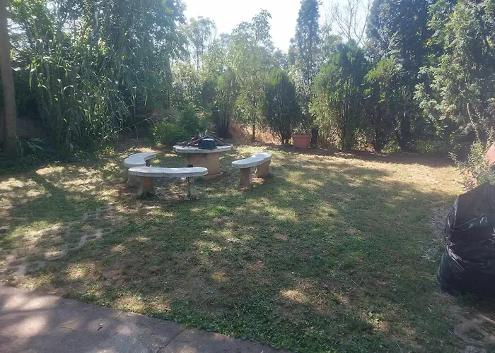 Attila's 부다요시