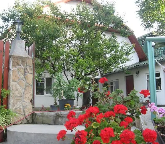 Konukevi Attila's